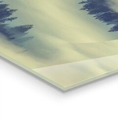 Rūdīta stikla attēls Miglainais Ērgļu mežs, 100x50 cm цена и информация | Картины | 220.lv