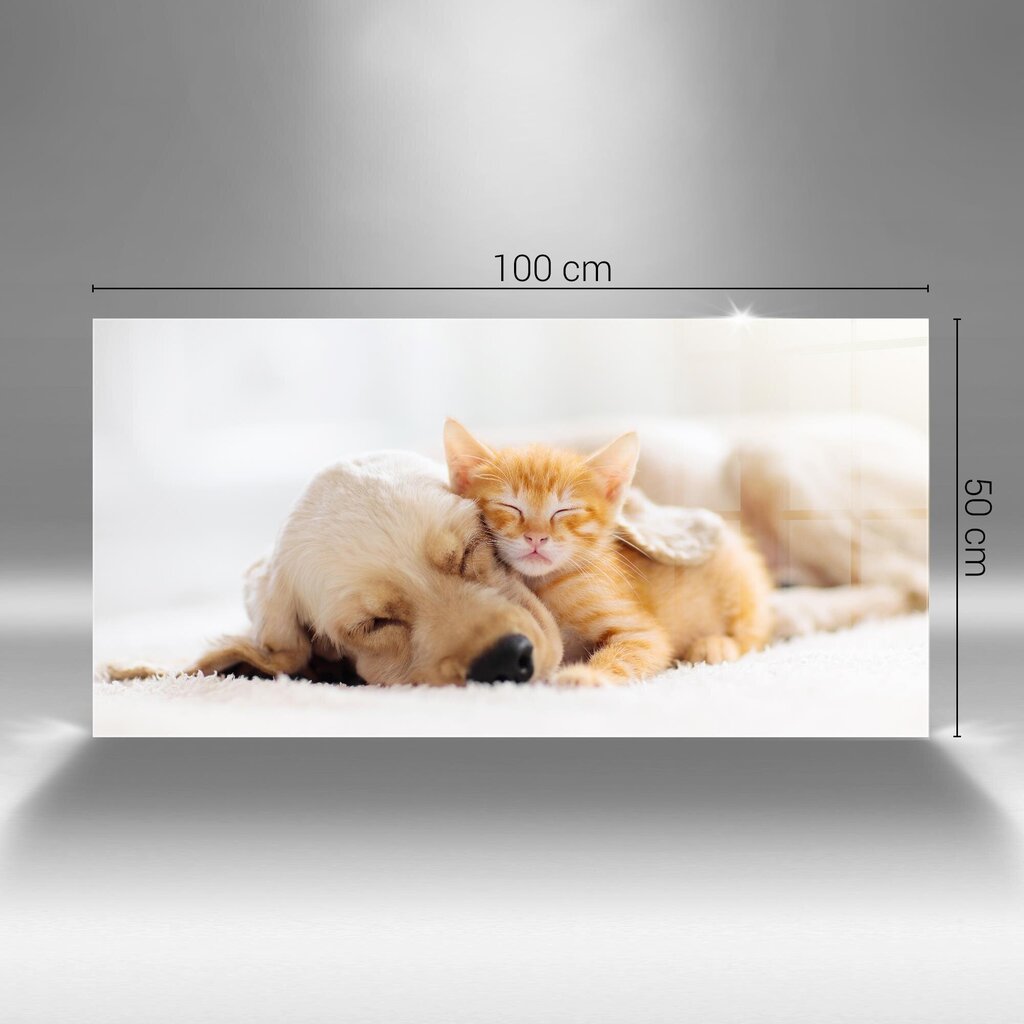Rūdīta stikla attēls Guļ kaķis un suns, 100x50 cm цена и информация | Gleznas | 220.lv