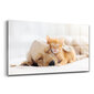 Rūdīta stikla attēls Guļ kaķis un suns, 100x50 cm цена и информация | Gleznas | 220.lv