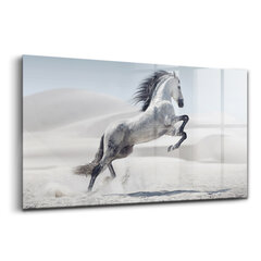 Rūdīta stikla attēls Gallopējošs balts zirgs, 100x50 cm cena un informācija | Gleznas | 220.lv