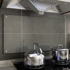 vidaXL virtuves panelis, 100x50 cm, caurspīdīgs rūdīts stikls цена и информация | Комплектующие для кухонной мебели | 220.lv