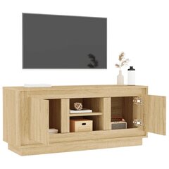 TV skapītis ar durvīm vidaXL, 102x35x45 cm, brūns cena un informācija | TV galdiņi | 220.lv