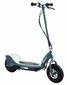 Razor E300 Electric Scooter Matte Gray цена и информация | Elektriskie skrejriteņi | 220.lv