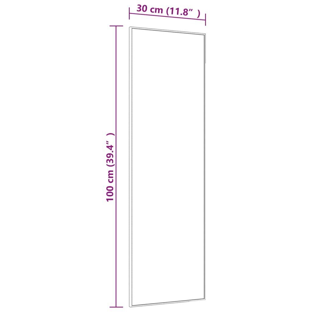 vidaXL durvju spogulis, melns, 30x100 cm, stikls un alumīnijs цена и информация | Spoguļi | 220.lv