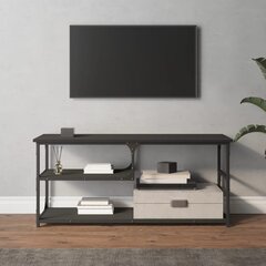 vidaXL TV galdiņš, 103x38x46,5 cm, inženierijas koks, tērauds, melns цена и информация | Тумбы под телевизор | 220.lv