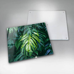 Plīts aizsardzība Monstera savvaļas lapas, 60x52 cm цена и информация | Кухонные принадлежности | 220.lv