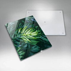 Plīts aizsardzība Monstera savvaļas lapas, 40x52 cm цена и информация | Кухонные принадлежности | 220.lv