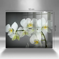 Plīts aizsardzība Baltie orhideju ziedi, 52x40 cm цена и информация | Кухонные принадлежности | 220.lv