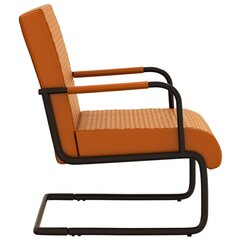 Krēsls, brūns цена и информация | Кресла в гостиную | 220.lv