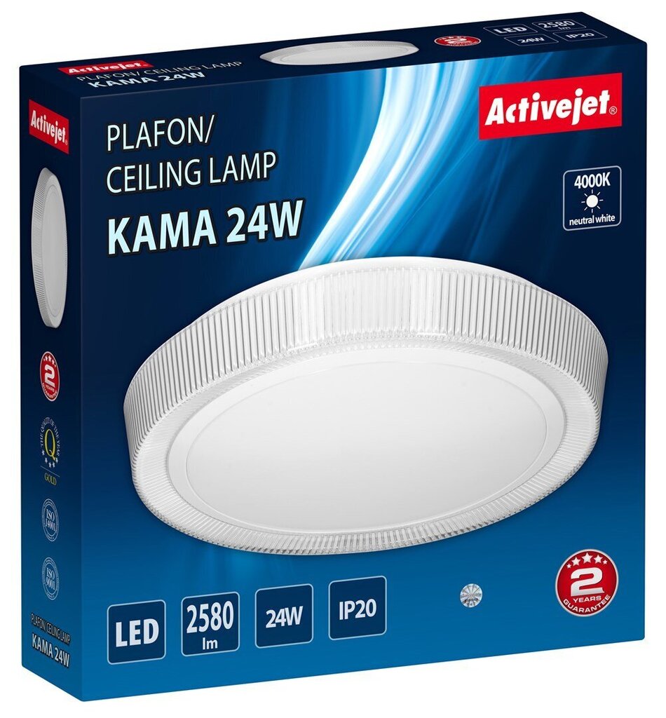 LED griestu lampa AJE-KAMA 24 W цена и информация | Griestu lampas | 220.lv