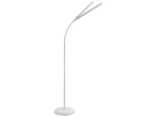 Grīdas lampa Daylight DuoLamp LED cena un informācija | Stāvlampas | 220.lv