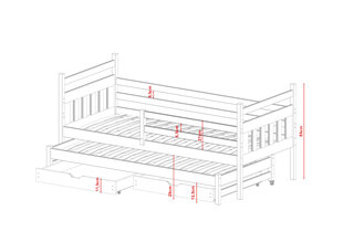 Vienguļamās gultas Daniel FURNLUX CLASSIC, 88x178x85 cm, pelēka cena un informācija | Bērnu gultas | 220.lv