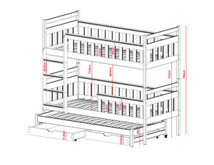 Divstāvu gultas Lea FURNLUX CLASSIC, 88x198x164 cm, balta cena un informācija | Gultas | 220.lv