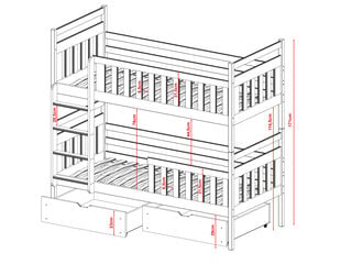 Двухъярусные кровати Monika FURNLUX CLASSIC, 88x198x171 cm, белый цена и информация | Детские кровати | 220.lv