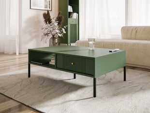 Журнальные столики Iseo FURNLUX CLASSIC, 104x68x40 cm, зеленый цена и информация | Журнальные столики | 220.lv