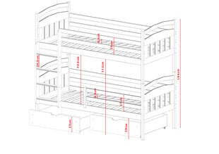 Divstāvu gultas Gabi FURNLUX CLASSIC, 98x208x164 cm, balta cena un informācija | Gultas | 220.lv