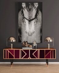 TV skapis ar 2 atvilktnēm un 2 durvīm L 170 cm, Burgundy Jewelery Walnut cena un informācija | Kumodes | 220.lv