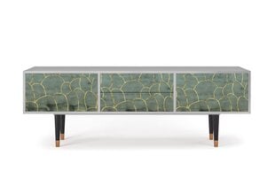 TV skapis ar 2 atvilktnēm un 2 durvīm L 170 cm, Magnificent Water Lily Grey cena un informācija | Kumodes | 220.lv