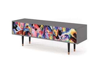 TV skapis ar 2 atvilktnēm un 2 durvīm L 170 cm, Kandinsky Grey cena un informācija | Kumodes | 220.lv