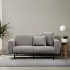 2 vietų sofa Side - Light Grey cena un informācija | Dīvāni | 220.lv