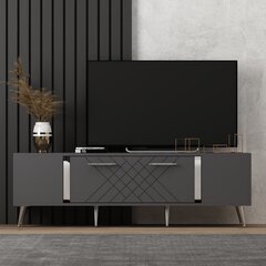 TV stalas Detas - Anthracite, Silver cena un informācija | TV galdiņi | 220.lv