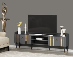 TV stalas Isıl - Anthracite, Gold цена и информация | Тумбы под телевизор | 220.lv