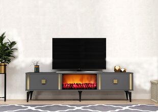 TV stalas Doruk Fireplace - Anthracite, Gold цена и информация | Тумбы под телевизор | 220.lv