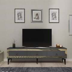 TV stalas Ponny - Anthracite, Gold цена и информация | Тумбы под телевизор | 220.lv