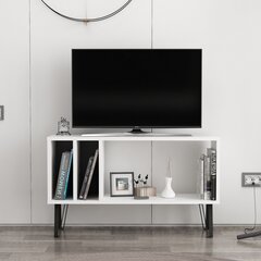 TV stalas Arven - White, Anthracite cena un informācija | TV galdiņi | 220.lv