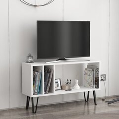 TV stalas Arven - White, Anthracite cena un informācija | TV galdiņi | 220.lv