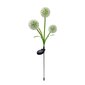 SUNARI Solar Lamp LED FLS-95 Garlic flower 3000K 600mAh Li-Ion Forever Light цена и информация | Lustras | 220.lv