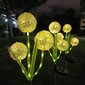 SUNARI Solar Lamp LED FLS-95 Garlic flower 3000K 600mAh Li-Ion Forever Light цена и информация | Lustras | 220.lv