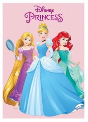 Vilnas sega 110x140 Princeses Disney cena un informācija | Bērnu gultas veļa | 220.lv