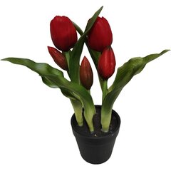 Tulipany w doniczce czerwone 23 cm цена и информация | Детали интерьера | 220.lv