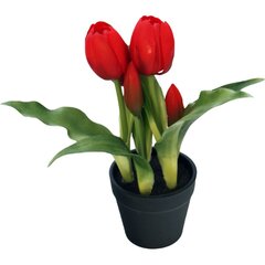 Tulipany w doniczce czerwone 23 cm цена и информация | Детали интерьера | 220.lv