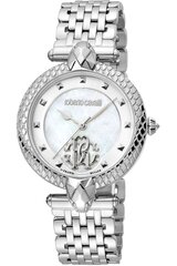 Roberto Cavalli By Franck Muller - RV1L130M - Grey RV1L130M0041 цена и информация | Женские часы | 220.lv