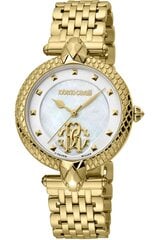 Roberto Cavalli By Franck Muller - RV1L130M - Yellow RV1L130M0051 цена и информация | Женские часы | 220.lv