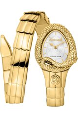 Roberto Cavalli By Franck Muller - RV1L201M - Yellow RV1L201M0021 цена и информация | Женские часы | 220.lv