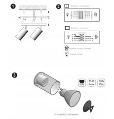 Griestu gaismas lustra Plafond Tubes AG4 LED GU10 cena un informācija | Griestu lampas | 220.lv