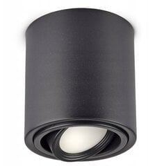 Потолочный светильник SPOT LED GU10 TUBA крепится на поверхность и перемещается. цена и информация | Потолочные светильники | 220.lv