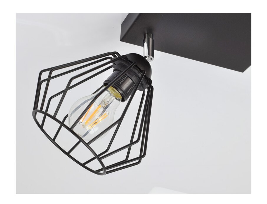 Luxolar 724 piekaramā lampa ar 2 E27 gaismas punktiem цена и информация | Lustras | 220.lv