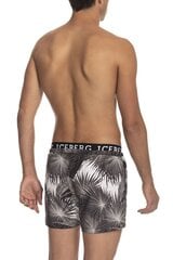 Iceberg Beachwear - ICE3MBS01 - Black ICE3MBS01_BLACK-M цена и информация | Плавки, плавательные шорты | 220.lv