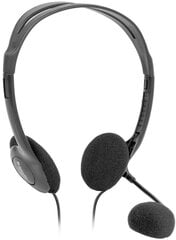 Defender Headset Aura 102 цена и информация | Наушники | 220.lv