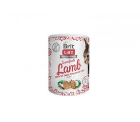 Brit Care Cat Superfruits Lamb лакомство беззерновое для кошек, 100 г x 4 цена и информация | Лакомства для кошек | 220.lv