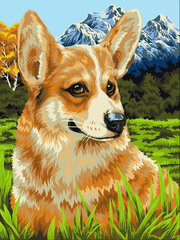 Glezna pēc numuriem Wizardi Corgi on a walk H094, 40x50 cm cena un informācija | Gleznas pēc numuriem | 220.lv