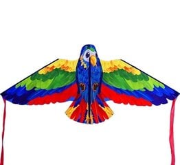 Pūķa papagailis, zils cena un informācija | Gaisa pūķi | 220.lv
