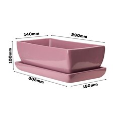 Puķu pods kaktuss, bļoda roze ar apakštasīti, taisnstūra izmēri 14 cm x 29 cm x 9 cm cena un informācija | Puķu podi | 220.lv