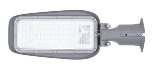 LED PREMIUM 50W IP65 ielu lampa, auksti balta (6500K), 130Lm/W, 3 gadu garantija cena un informācija | Āra apgaismojums | 220.lv