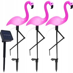 Dārza lampu komplekts - flamingo ar SuperLED saules kolektoru, 3gab cena un informācija | Āra apgaismojums | 220.lv