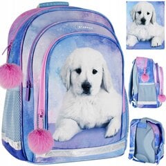 Школьный рюкзак Starpak, 1-3 класс цена и информация | Школьные рюкзаки, спортивные сумки | 220.lv